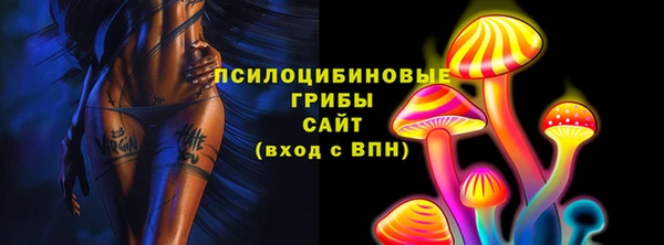 PSILOCYBIN Богородск