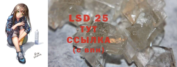 PSILOCYBIN Богородск