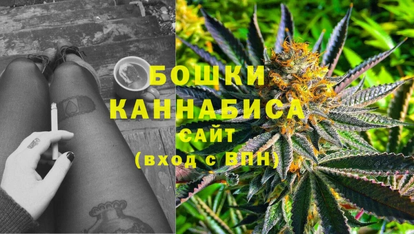 PSILOCYBIN Богородск