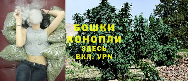 дурь Богородицк