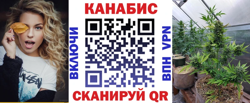 Бошки Шишки Amnesia как найти закладки Екатеринбург